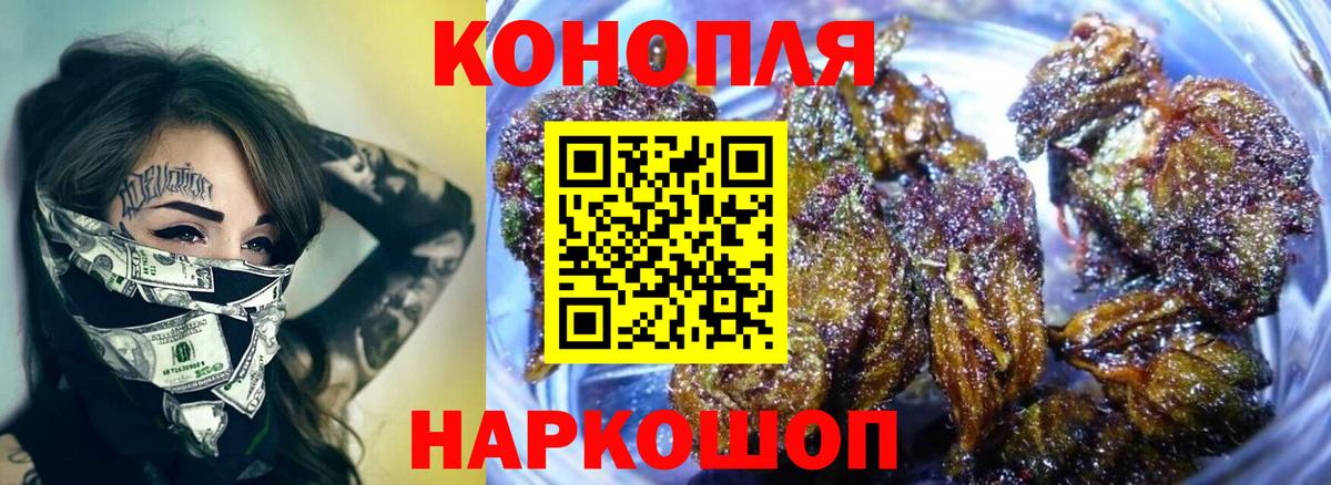 Бошки марихуана Ganja  Бошки марихуана конопля  Черняховск  Марихуана индика  Марихуана марихуана  Вход с VPN 